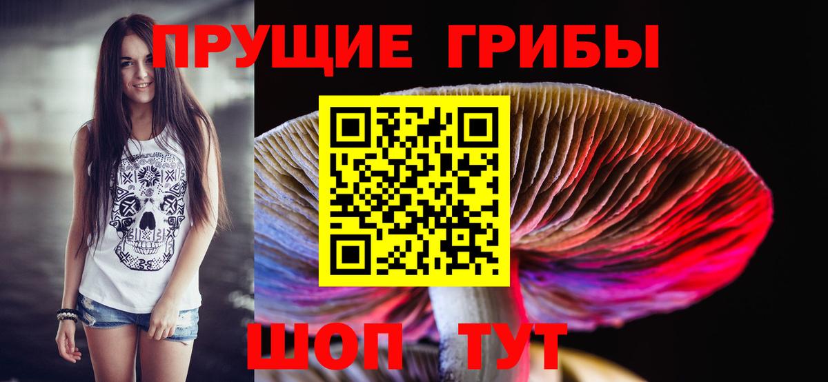 Галлюциногенные грибы Psilocybine cubensis  Вход с VPN  Астрахань  Галлюциногенные грибы мухоморы 